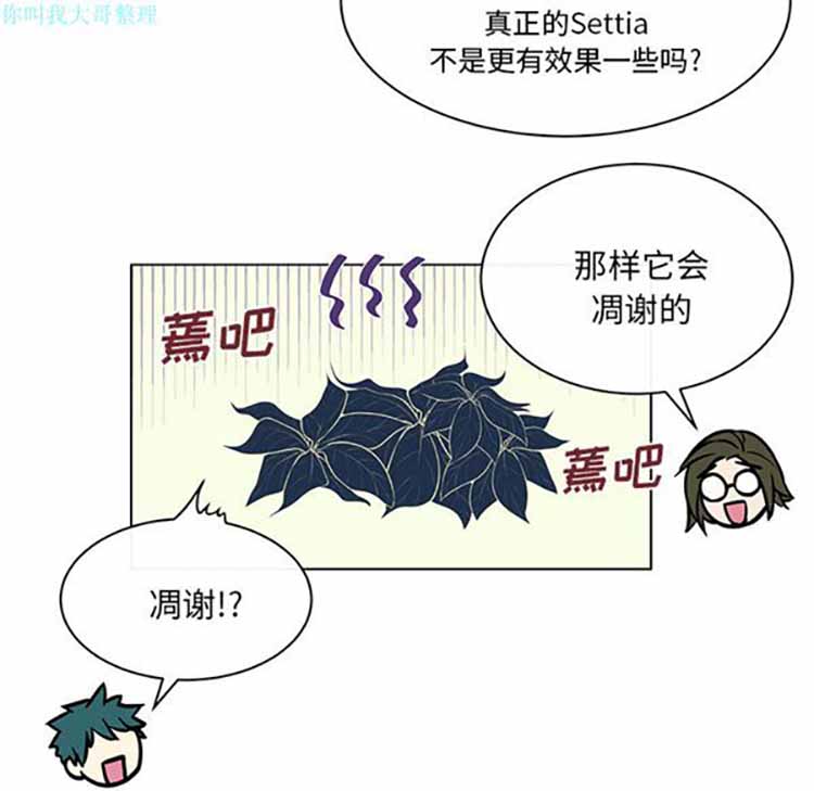 Settia（BL） 第17话 第21页