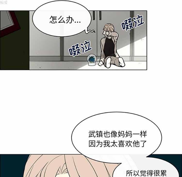 Settia（BL） 第23话 第8页