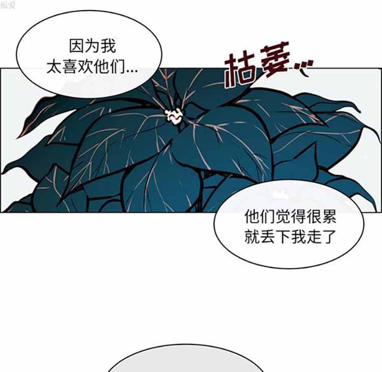 Settia（BL） 第23话 第10页