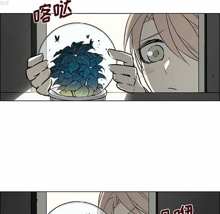 Settia（BL） 第23话 第12页
