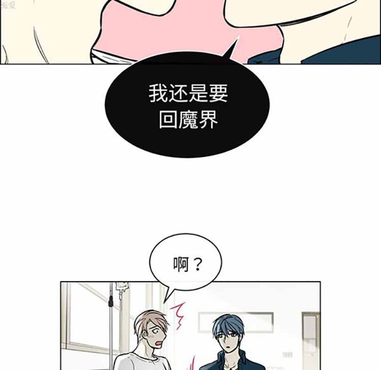 Settia（BL） 第24话 第50页