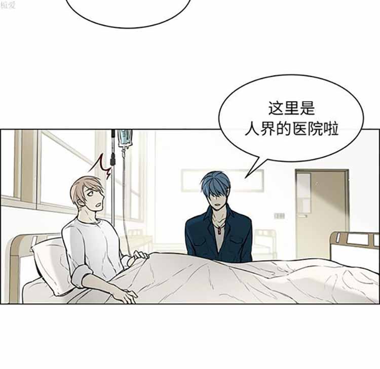 Settia（BL） 第24话 第40页