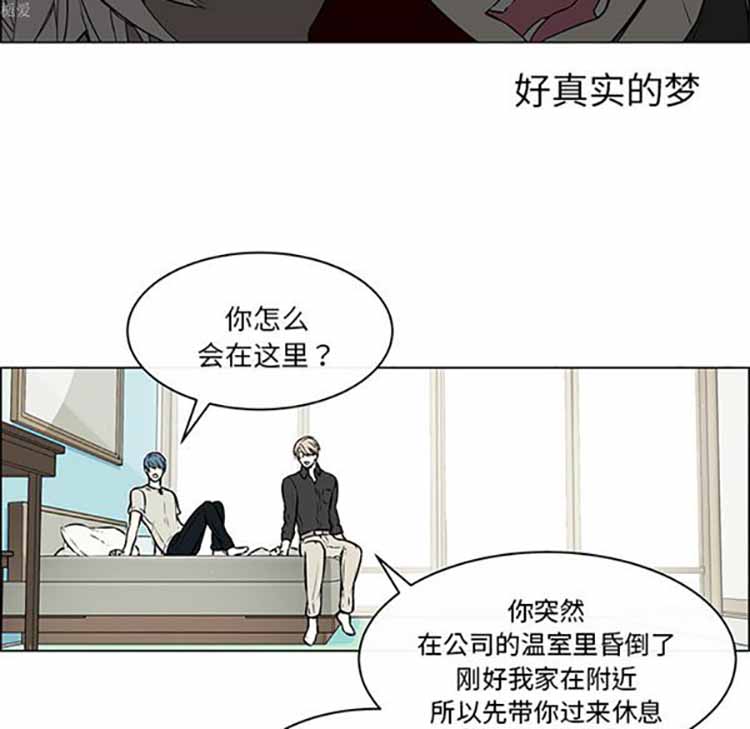 Settia（BL） 第21话 第19页