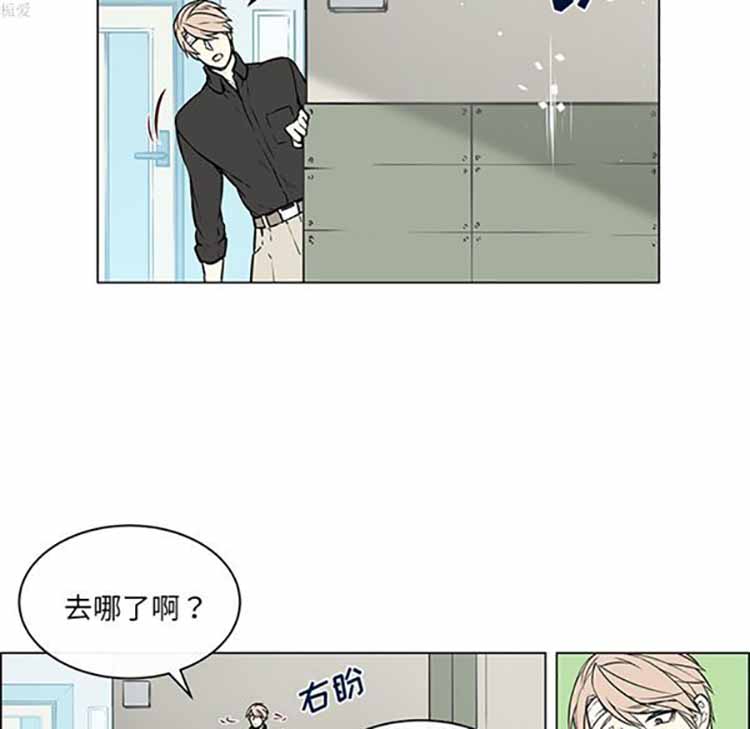 Settia（BL） 第21话 第43页