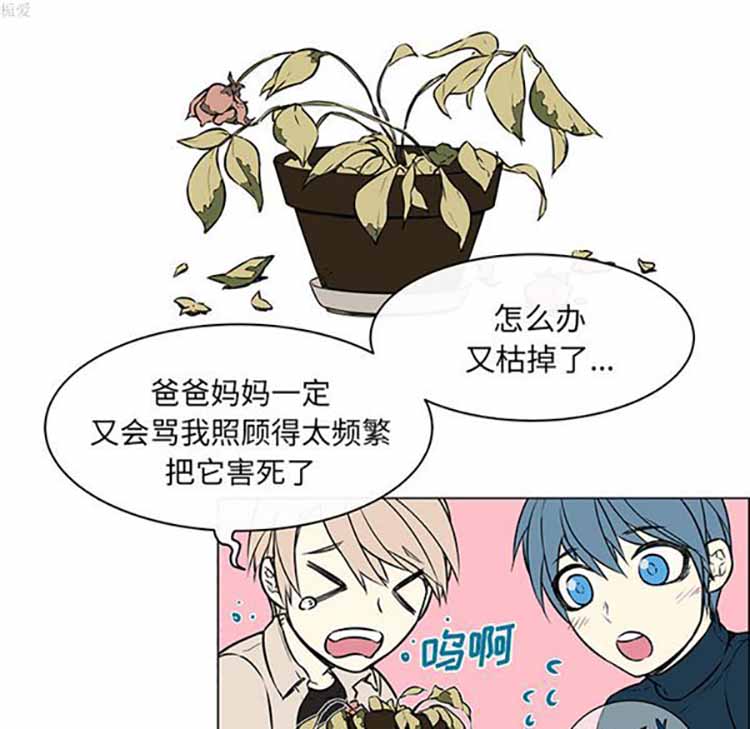 Settia（BL） 第22话 第39页