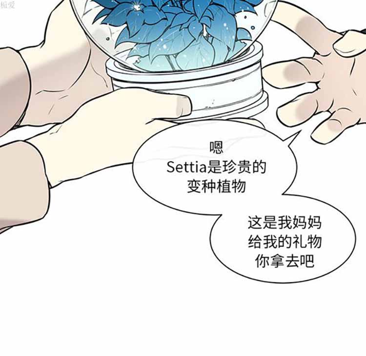 Settia（BL） 第22话 第41页